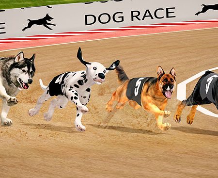 Tìm hiểu chi tiết về trò chơi Đua chó ảo tốc độ tại Dafabet