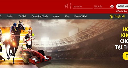 Hoàn trả 1.2% không giới hạn khi đặt cược tại Thể Thao Dafa