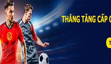 Khuyến mãi Thắng tăng cấp cược xiên tới 100% tại Dafabet